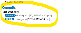 The Affected Commits section
